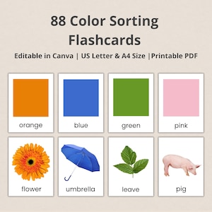 Montessori Colors Flashcards: Sorteringskort med riktig bild (PDF-utskrivbar, Canva-redigerbar)