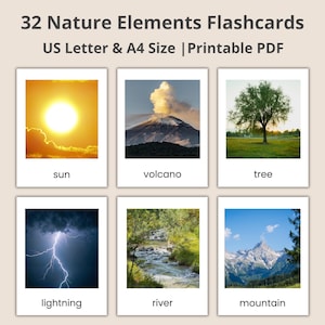 Montessori Nature Flashcards: Real Image 3-Part Cards (PDF Printable Cards)