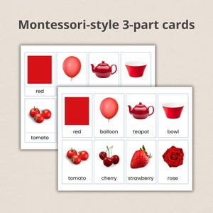 Montessori Colors Flashcards: Real Image Sorting Cards (PDF Printable ...