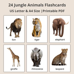 Jungle Animals Flashcards: Montessori Learning, Vocabulary (Printable PDF)