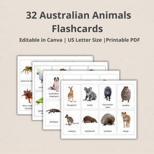 Australian animals, 32 Editable Montessori Cards, Flash Cards Real Images, FlashCards, Ausisie native animal, PDF Printable, preschool Toys
