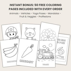 Pets Flashcards: Montessori 3-part Cards, Editable Canva Template (PDF ...