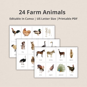 24 animales de granja, tarjetas Montessori editables, tarjetas didácticas de nomenclatura, tarjetas imprimibles en PDF, preescolar, descarga instantánea, tarjetas didácticas de juguetes