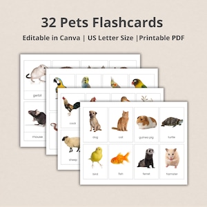 Pets Flash cards, Montessori materials, Real Pictures, Editable Flashcards, Homeschool Printables,PDF printable cards preschool, Instant