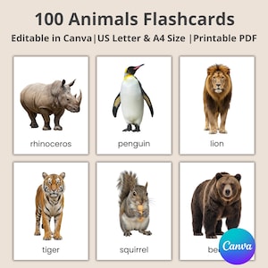 Os primeiros 100 flashcards de animais: Montessori, flashcards de animais de zoológico, animais de fazenda, animais da selva, criaturas marinhas, insetos e insetos, crianças pequenas