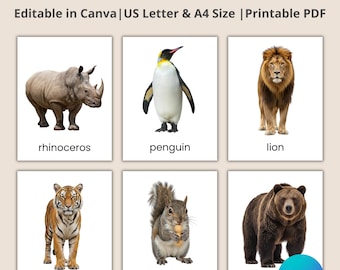 First 100 Animal Flashcards: Montessori, Zoo animal flashcards, Pet Farm Animal, Jungle Animals, Sea Creatures, Bugs Insects, Toddler