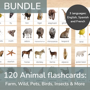Animal Flashcard Bundle, Montessori, Real pictures, vocabulary pictures with words cards in English, Spanish and French, PDF Printable