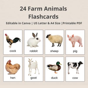 24 animaux de la ferme, cartes Montessori modifiables, cartes flash de nomenclature, cartes PDF imprimables, préscolaire, téléchargement immédiat, cartes flash jouets