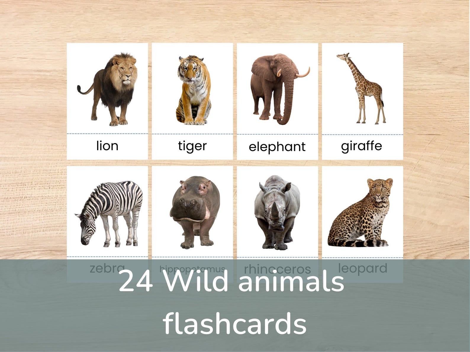 Wild Animals Flash Cards, Real Images, Homeschool Printables in English ...