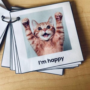 66 Cute Cat Themed Communication Cards (AAC, Non verbal Aid, Autism/Neurodivergent),  for Sensory Issues, Meltdowns, ADHD | Funny Cats