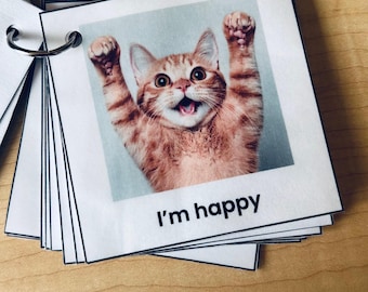 66 Cute Cat Themed Communication Cards (AAC, Non verbal Aid, Autism/Neurodivergent),  for Sensory Issues, Meltdowns, ADHD | Funny Cats