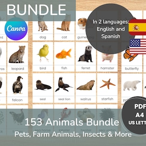 ANIMALS Bundle Flash Cards, Real Pictures, Montessori Cards in English and Spanish, Nomenclature Flashcards, PDF Printable Cards, preschool