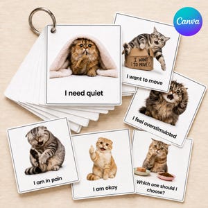 Op de afbeelding: Een set vierkante communicatiekaarten aan een metalen ring, elk voorzien van een kattenfoto en tekst. De kaarten tonen zinnen zoals I need quiet, I want to move, I feel overstimulated, I am in pain, I am okay en Which one should I choose?