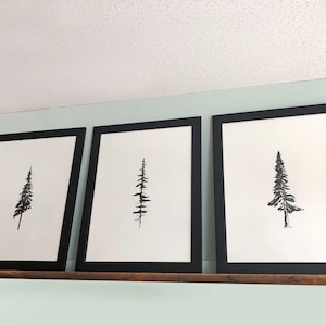 Stampe di alberi, Trilogy Art, Serigrafia naturalistica, 18 x 24 pollici, 16 x 20, Serie di 3 stampe, Bianco e nero, Pino, Abete di Douglas, Arte minimalista