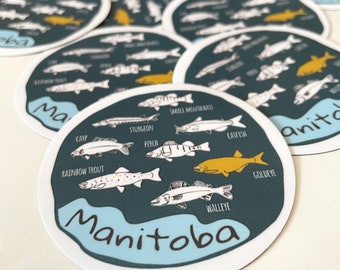 Puede incluir: Una pegatina redonda con un diseño de ola azul y blanca y la palabra "Manitoba" en contorno blanco. La pegatina presenta ilustraciones de varias especies de peces que se encuentran en Manitoba, incluyendo carpa, esturión, perca, lucioperca, bagre y goldeye. Cada pez está etiquetado con su nombre.
