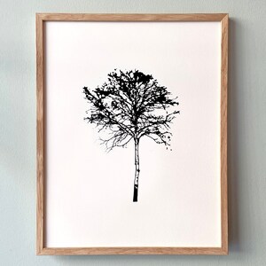 Tree Prints, Set of 4, 11 X 14 Inch Art Prints, Birch, Spruce, Pine ...