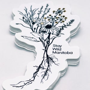 Sticker, Stay Wild Manitoba, Prairie Flower Design, Bumper Sticker