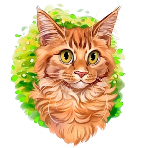 Personalized Portrait of Cartoon Cat from Photo, Cartoon Pet Style, Disney Style Pets, Personalized Cat Gift, Digital Illustration