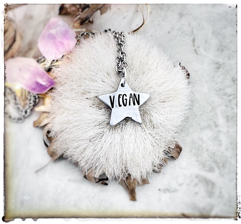 You are a Vegan Star Charm Necklace image 1