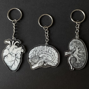 Może przedstawiać: Trzy breloki do kluczy z anatomicznymi ilustracjami ludzkiego serca, mózgu i nerki. Każda zawieszka jest wykonana w czerni i bieli z detalami liniowymi i przymocowana do srebrnego metalowego kółka za pomocą krótkiego łańcuszka.