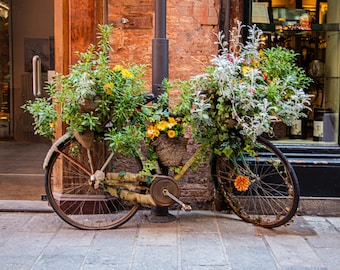 Bicycle Photography Wall Art – Pink Bike, Floral Decor, Italy Street Scene