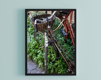 Best seller, European Bike photography, Bicycle Photo wall art, Gift for Bike enthusiast, Bike Lover gift, Old world bicycle photography