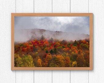 May include: A misty mountain scene with a forest of trees in various shades of red, orange, yellow, and green. The fog is rolling in over the mountaintop, creating a dramatic and ethereal atmosphere.