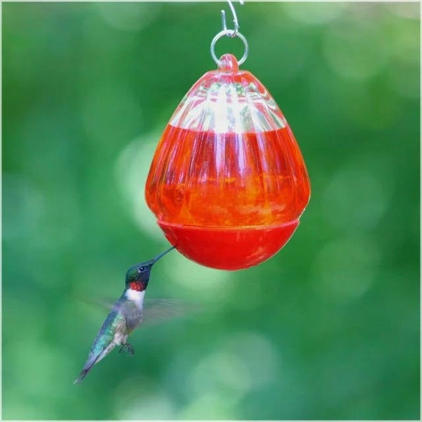 Hummingbird Feeder Replacement Bottom - Opus and Perky-Pet Teardrop Humming Bird Feeder