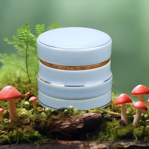 May include: A white ceramic jar with gold trim sits on a bed of moss and mushrooms. The jar has a lid and is decorated with a simple gold band around the top and bottom.