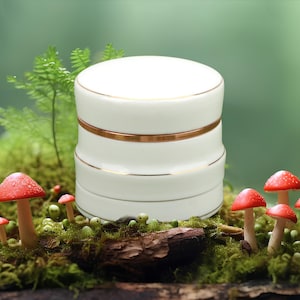 May include: White ceramic jar with gold trim, sitting on a bed of moss and mushrooms.