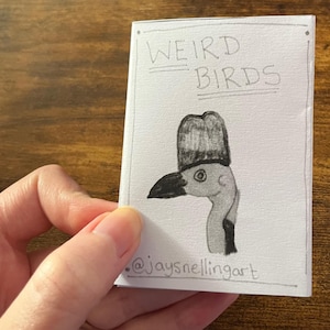 Weird Birds Mini Zine | Funny Hand-Drawn Bird Art | Outsider Artist Jay Snelling