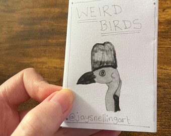 Weird Birds Mini Zine | Funny Hand-Drawn Bird Art | Outsider Artist Jay Snelling