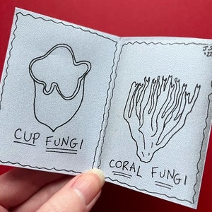 7 Types of Fungus - Mini Zine! // Art Book // Gift // Colouring Book.