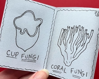 7 Types of Fungus - Mini Zine! // Art Book // Gift // Colouring Book.