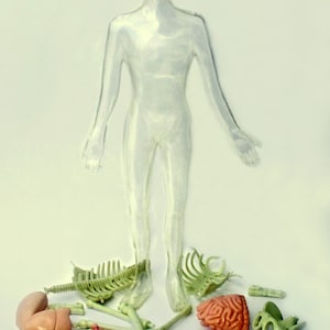 Model Of A Human Being by Mike Russell. A6 Postcard Art Print