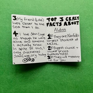 11 facts funny ZINE (mini)