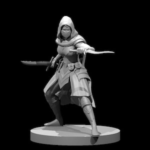 3D resin assassin for your DnD adventures!  Straight from the 2025 Monster Manual!! 28mm scale