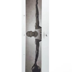 Michael Jordan Wings Poster, - Etsy