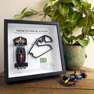 F1-bild São Paulo GP 2024 - 3D-bana med Red Bull RB20 - Max Verstappen