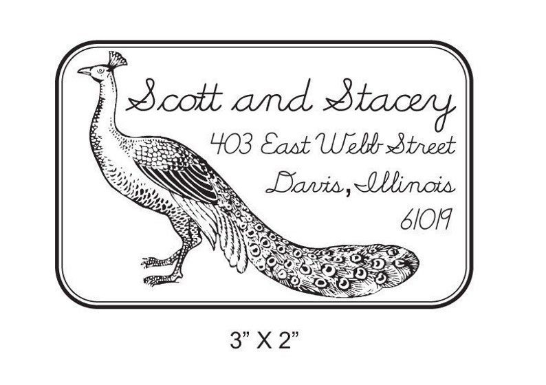 Custom Peacock Handwritten Return Address Rubber Stamp AD42 image 1