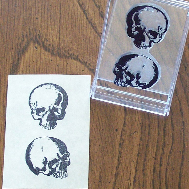Anatomical Skulls Human Anatomy Medical Illustration Rubber Stamp 068