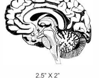 I have half a mind to... Anatomical Brain Rubber Stamp