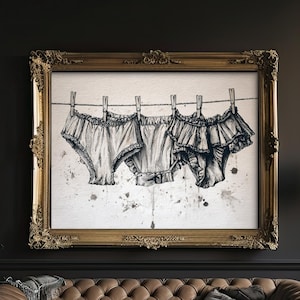 May include: A framed wall art piece featuring a black and white ink sketch of three pairs of ruffled underwear hanging from a clothesline with wooden clips. The artwork is displayed in an ornate gold frame against a dark, moody interior wall.