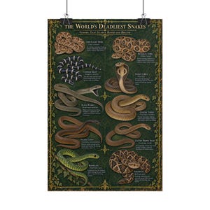 Affiche Serpents Venimeux, Tableau des espèces de serpents les plus mortelles, Illustration vintage de reptiles, Art gothique d'histoire naturelle, Vert et Or