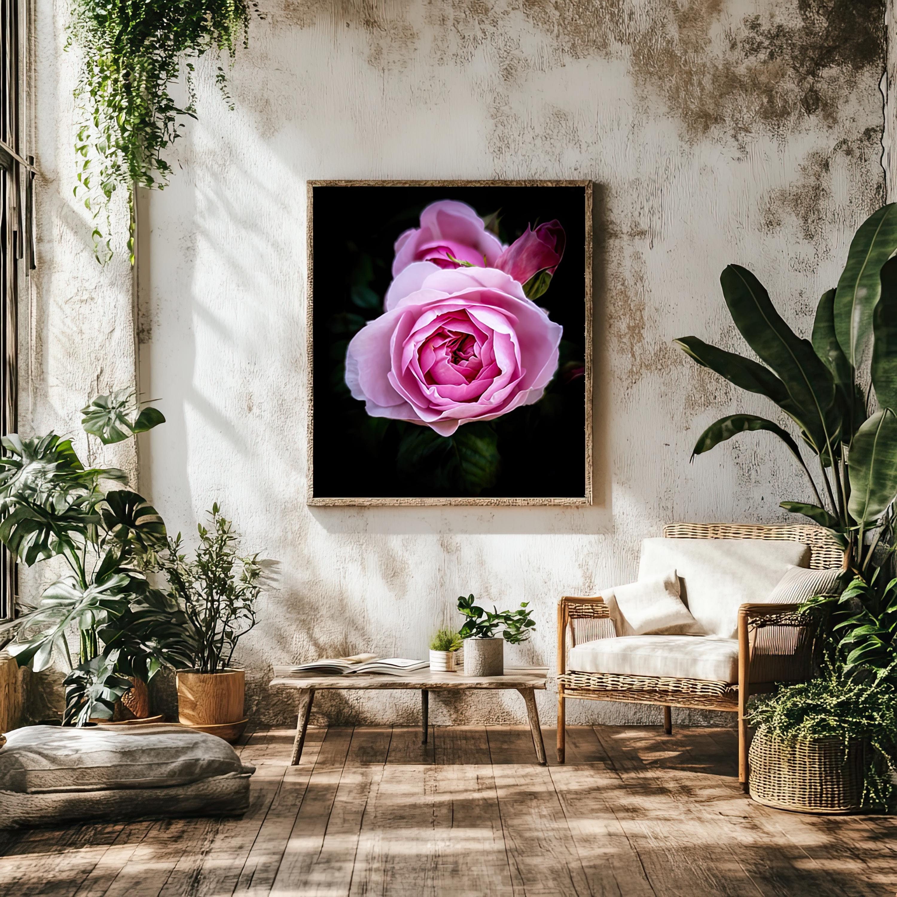 Olivia Rose Austin Poster, Pink Rose Flower Garden Photo Print - Etsy