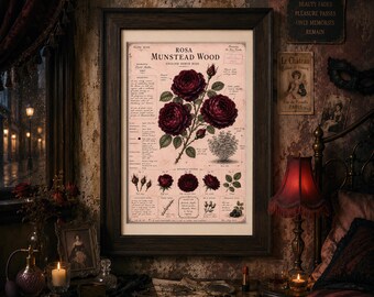 Munstead Wood Rose Print, Vintage Botanical Wall Art, Dark Red