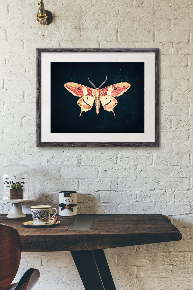 Vintage Moth Art Print | Dark Academia Insect Wall Art | Gothic Nature ...