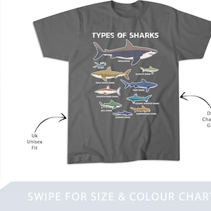 9 Types Of Sharks T-Shirt Educational Colorful Ocean Tee T-Shirt, Sweatshirt, Hoodie, Tote Bag - 256226