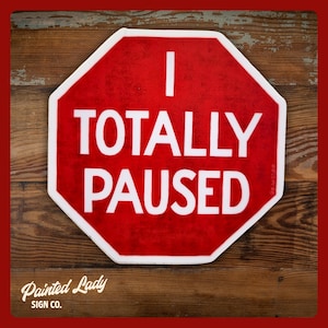 I Totally Paused | hand lettered vinyl sticker | laptop, car, water bottle sticker