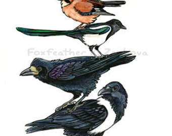 Corvid Stack Painting Print - Wall art, bird stack, Crow, Raven, Magpie, Blue Jay, Rook, Eurasian Jay, Jackdaw